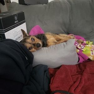 Meet your Posher, Danielle